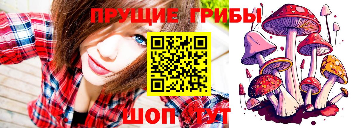 Зеленогорск  Псилоцибиновые грибы мухоморы  Вход с VPN 