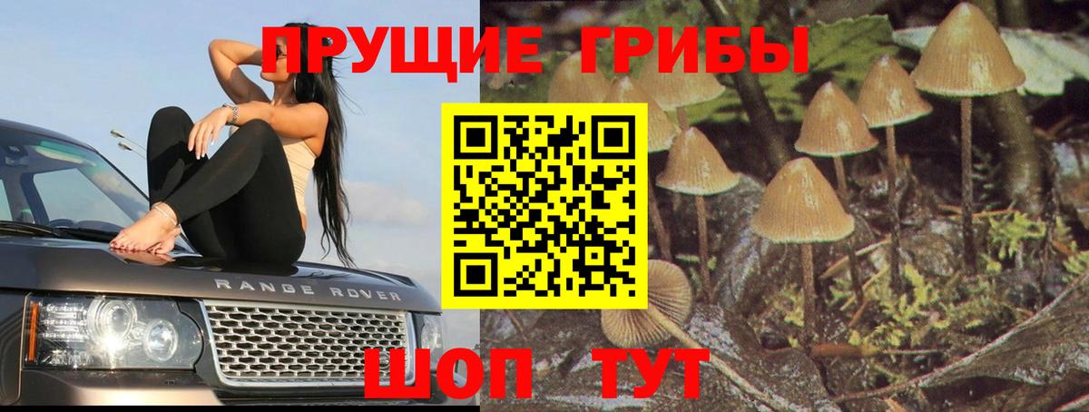 Галлюциногенные грибы ЛСД Зеленогорск